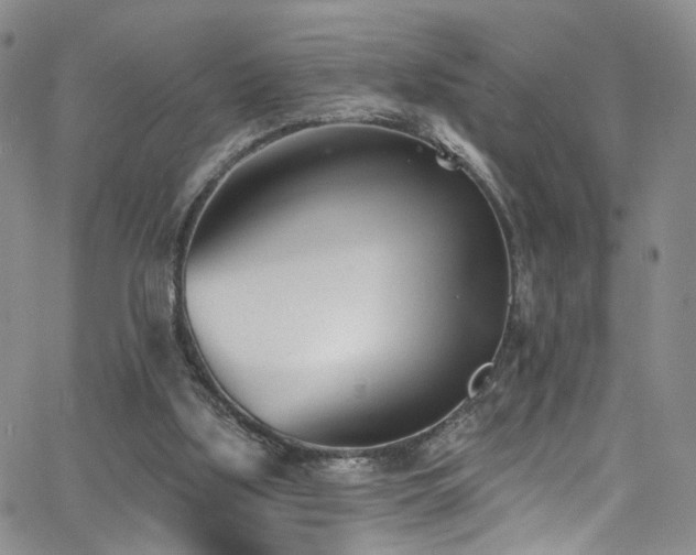 X0000062790059200512221401