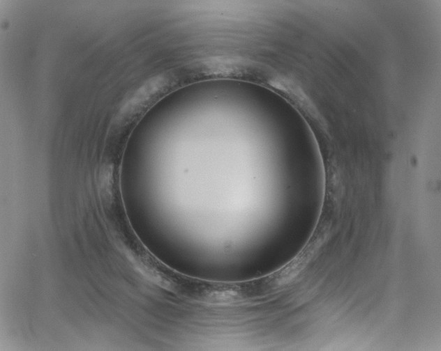 X0000062790066200512221401