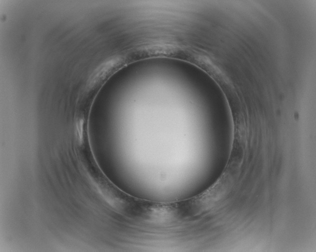 X0000062790070200512221401
