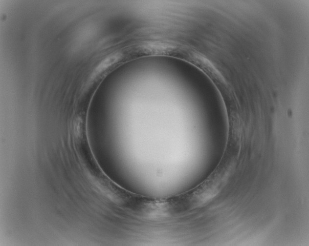 X0000062790071200512221401