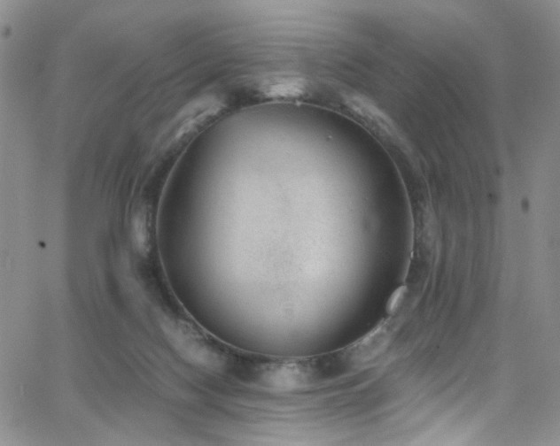 X0000062790074200512221401