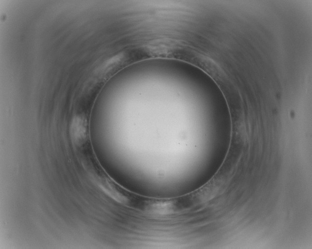 X0000062790081200512221401