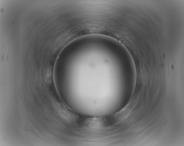 X0000062790082200512221401