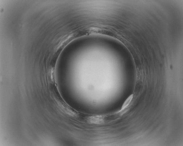 X0000062790094200512221402