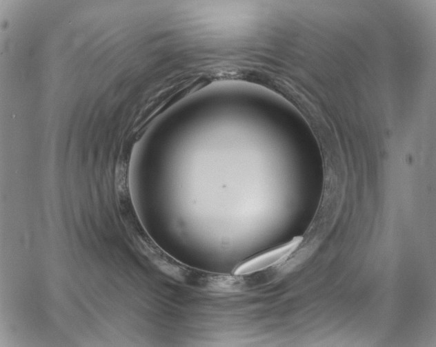 X0000062790096200512221402