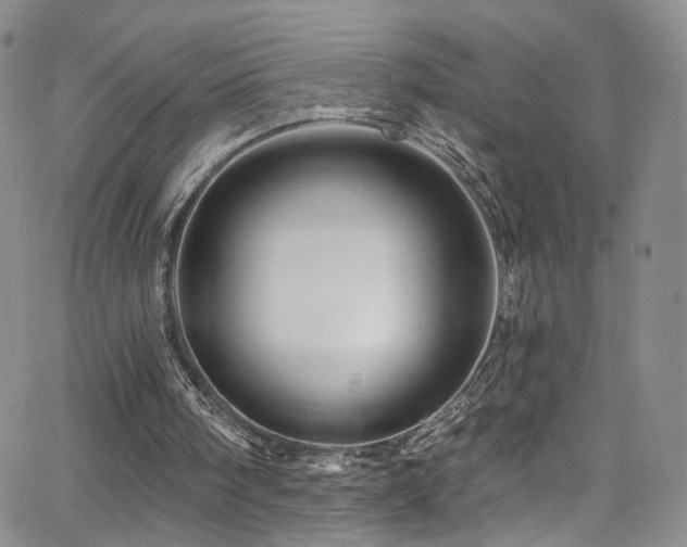 X0000062790098200512221401