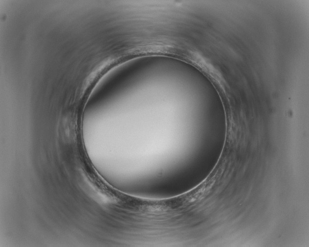 X0000062790107200512221401