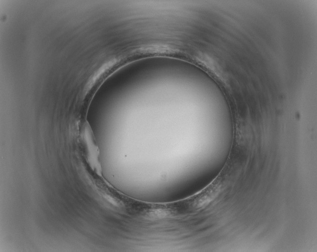 X0000062790111200512221401