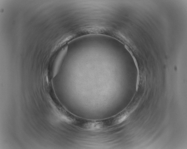 X0000062790117200512221400