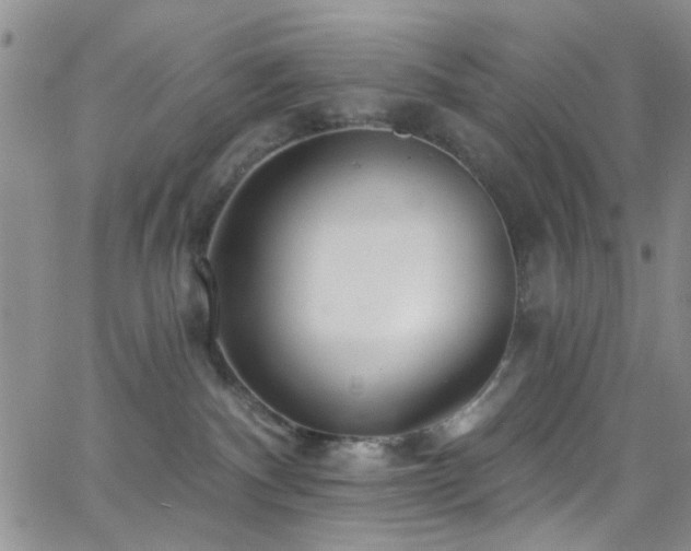 X0000062790140200512221400