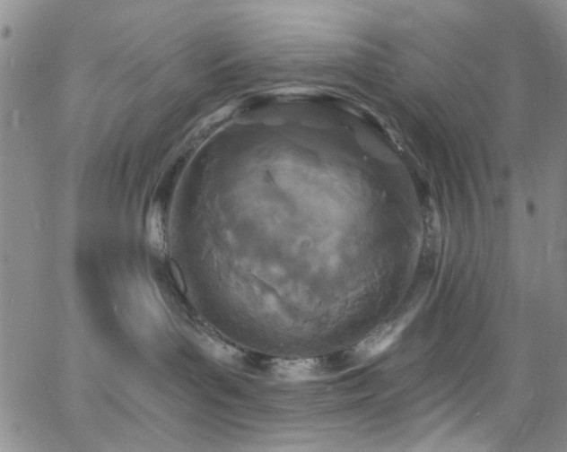 X0000062790143200512221400