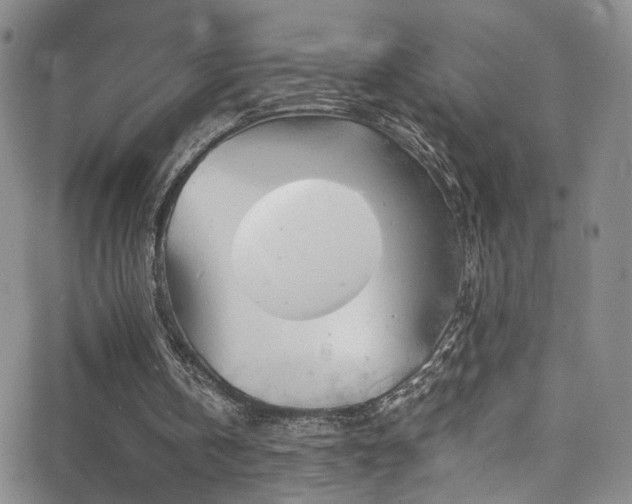 X0000062790146200512221359