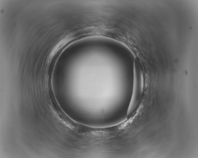 X0000062790150200512221359