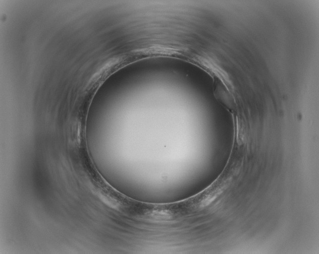 X0000062790157200512221359