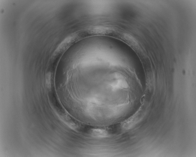 X0000062790167200512221400