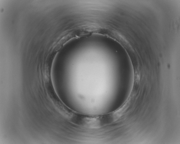 X0000062790170200512221400