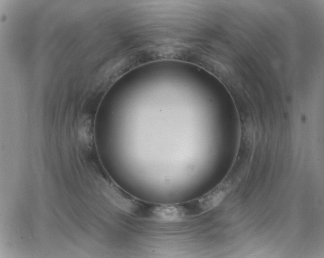 X0000062790181200512221400