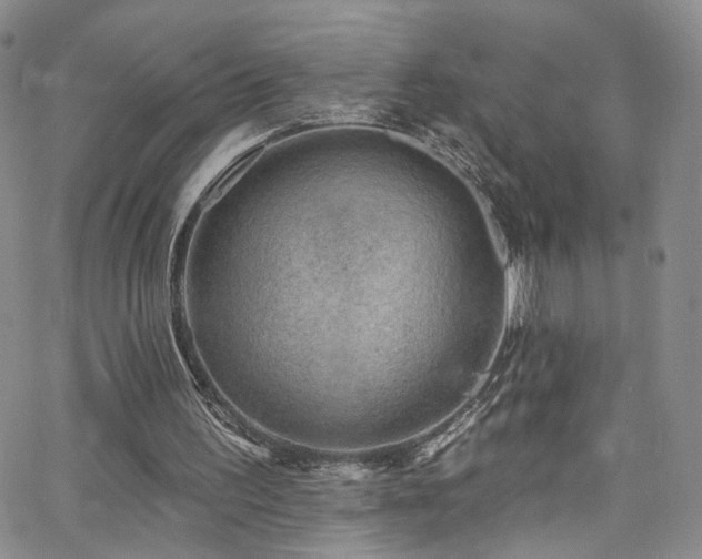 X0000062790195200512221359