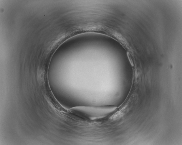 X0000062790201200512221359