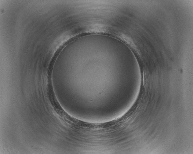 X0000062790204200512221359