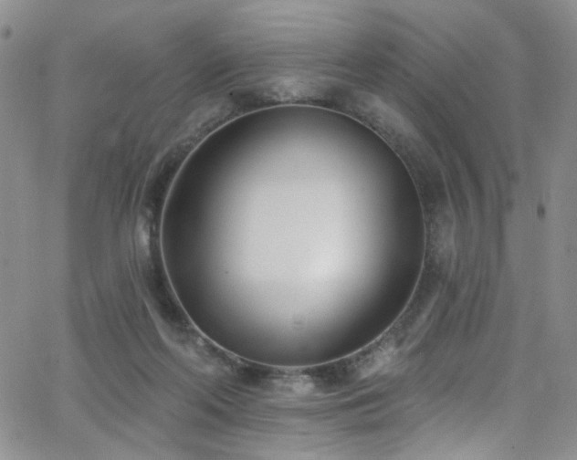 X0000062790214200512221359