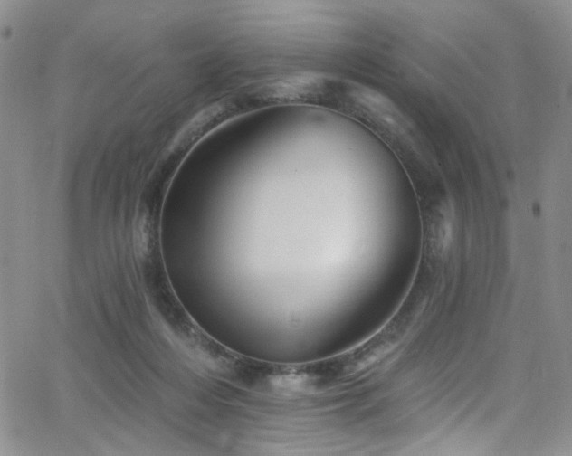 X0000062790216200512221359