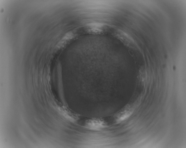X0000062790223200512221359
