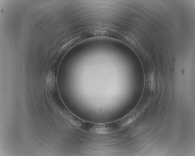 X0000062790228200512221359