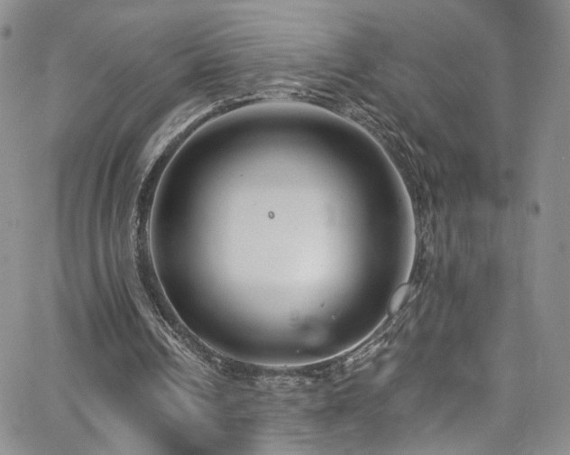 X0000062790242200512221358