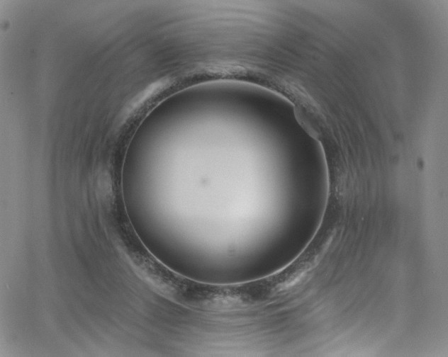 X0000062790256200512221358