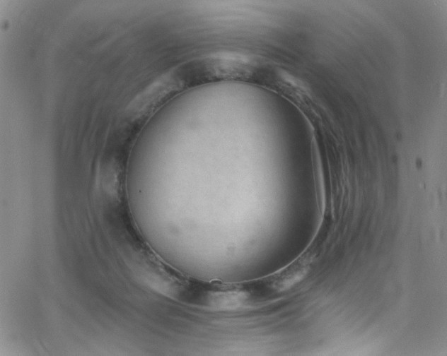 X0000062790266200512221358