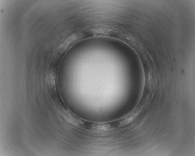 X0000062790282200512221358