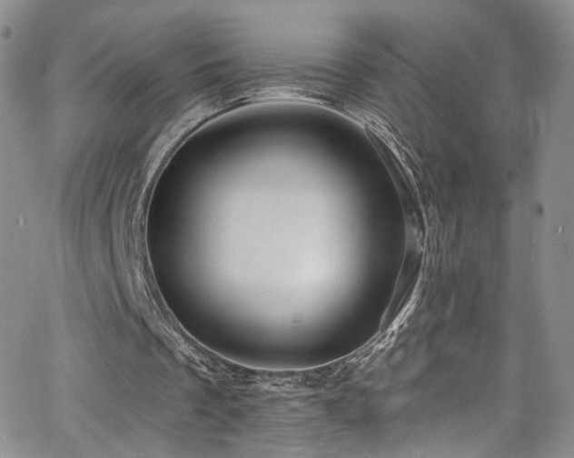 X0000062790289200512221358