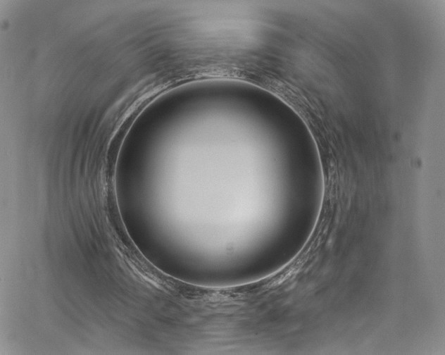 X0000062790290200512221358