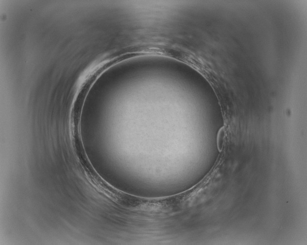 X0000062790294200512221358