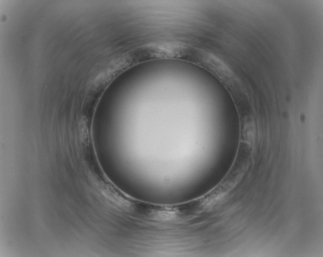 X0000062790318200512221357