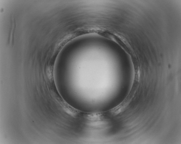 X0000062790335200512221357