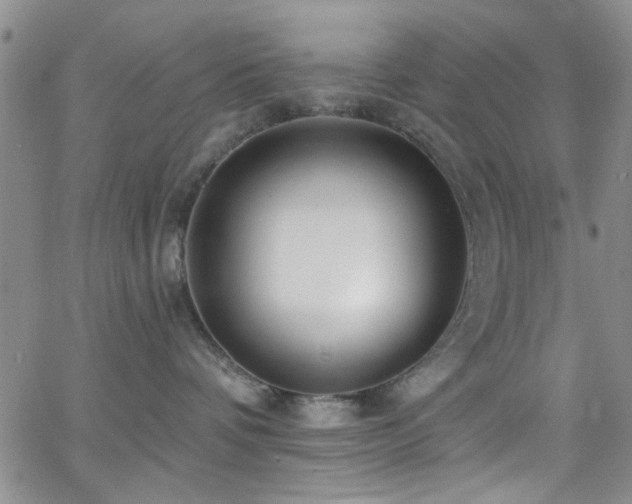 X0000062790336200512221357