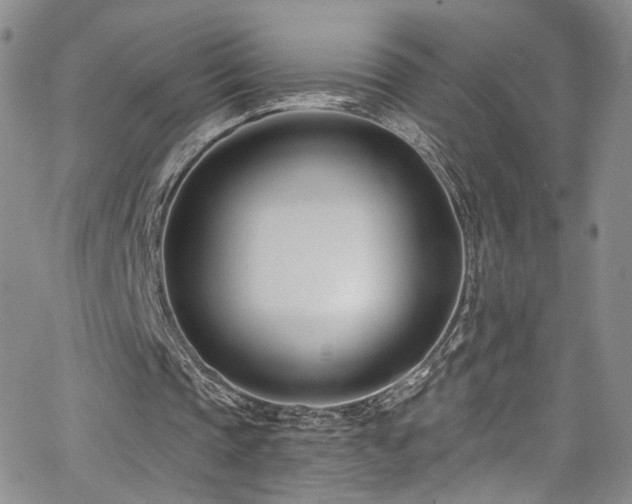 X0000062790337200512221356