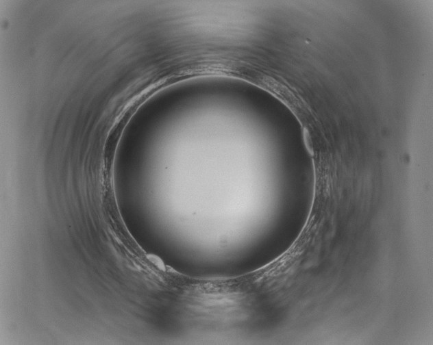 X0000062790338200512221356