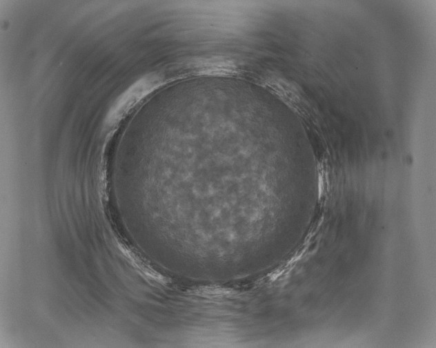 X0000062790339200512221356