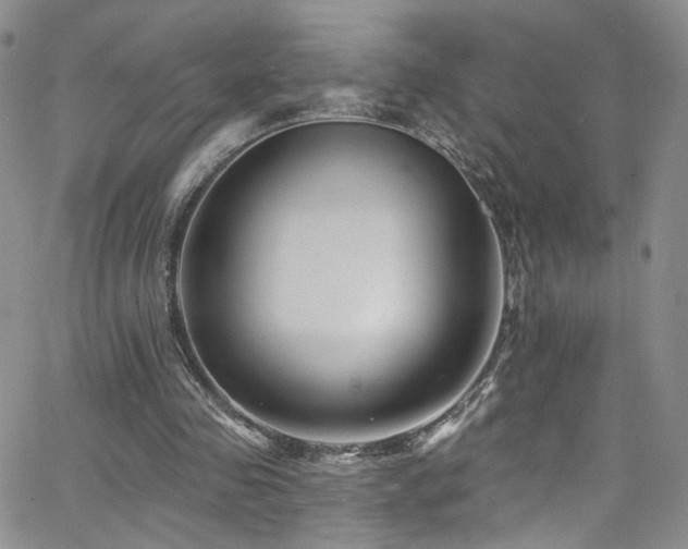 X0000062790341200512221356