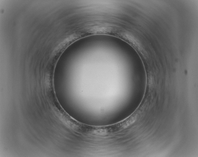 X0000062790353200512221356