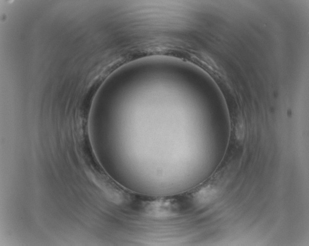 X0000062790366200512221357