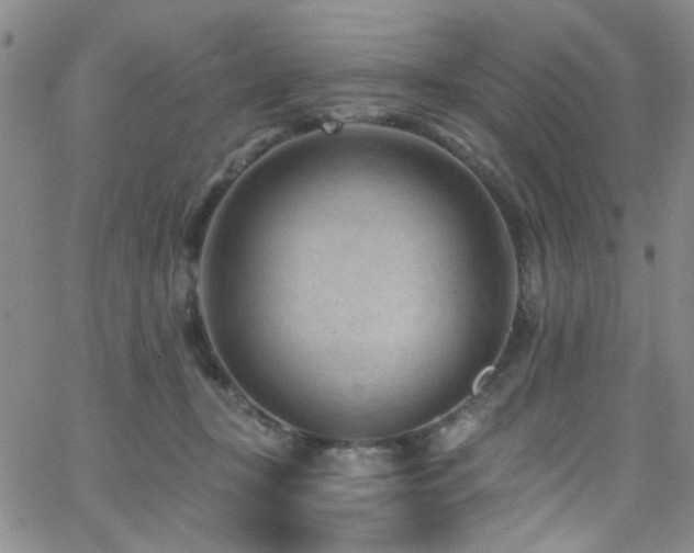 X0000062790367200512221357