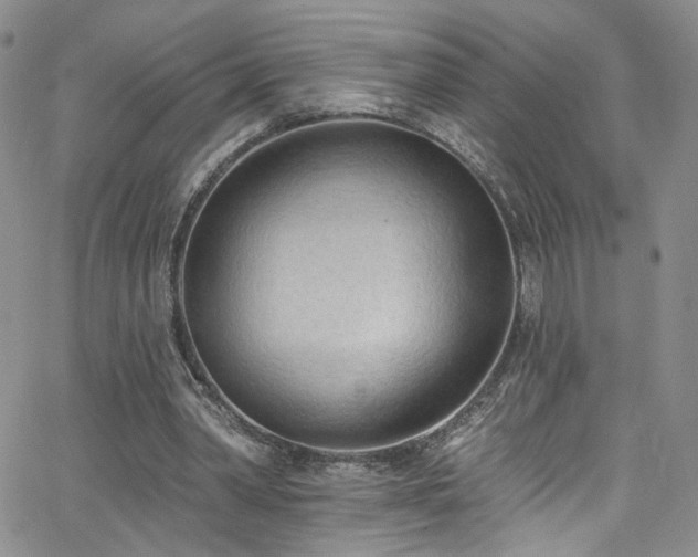 X0000062790390200512221356