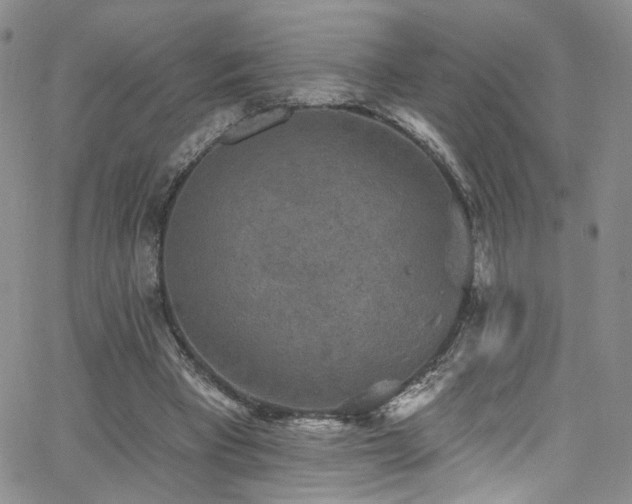 X0000062790393200512221356