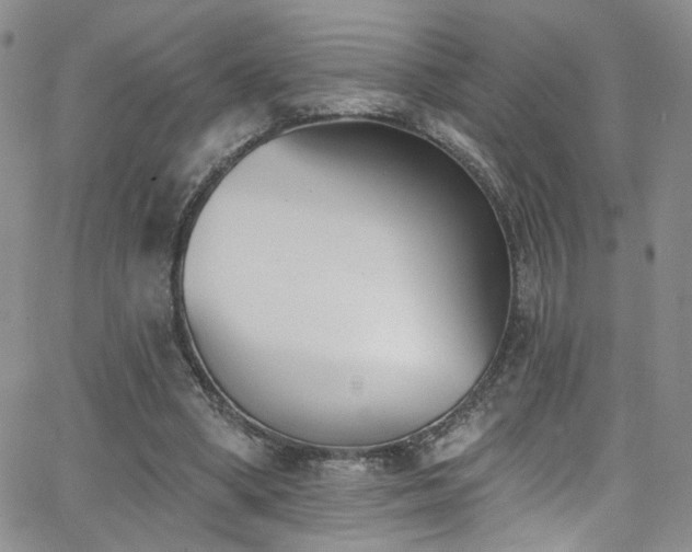 X0000062790394200512221356