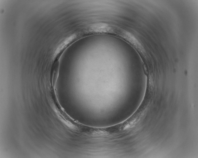 X0000062790397200512221356