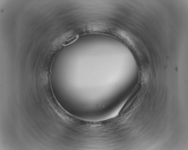 X0000062790401200512221356